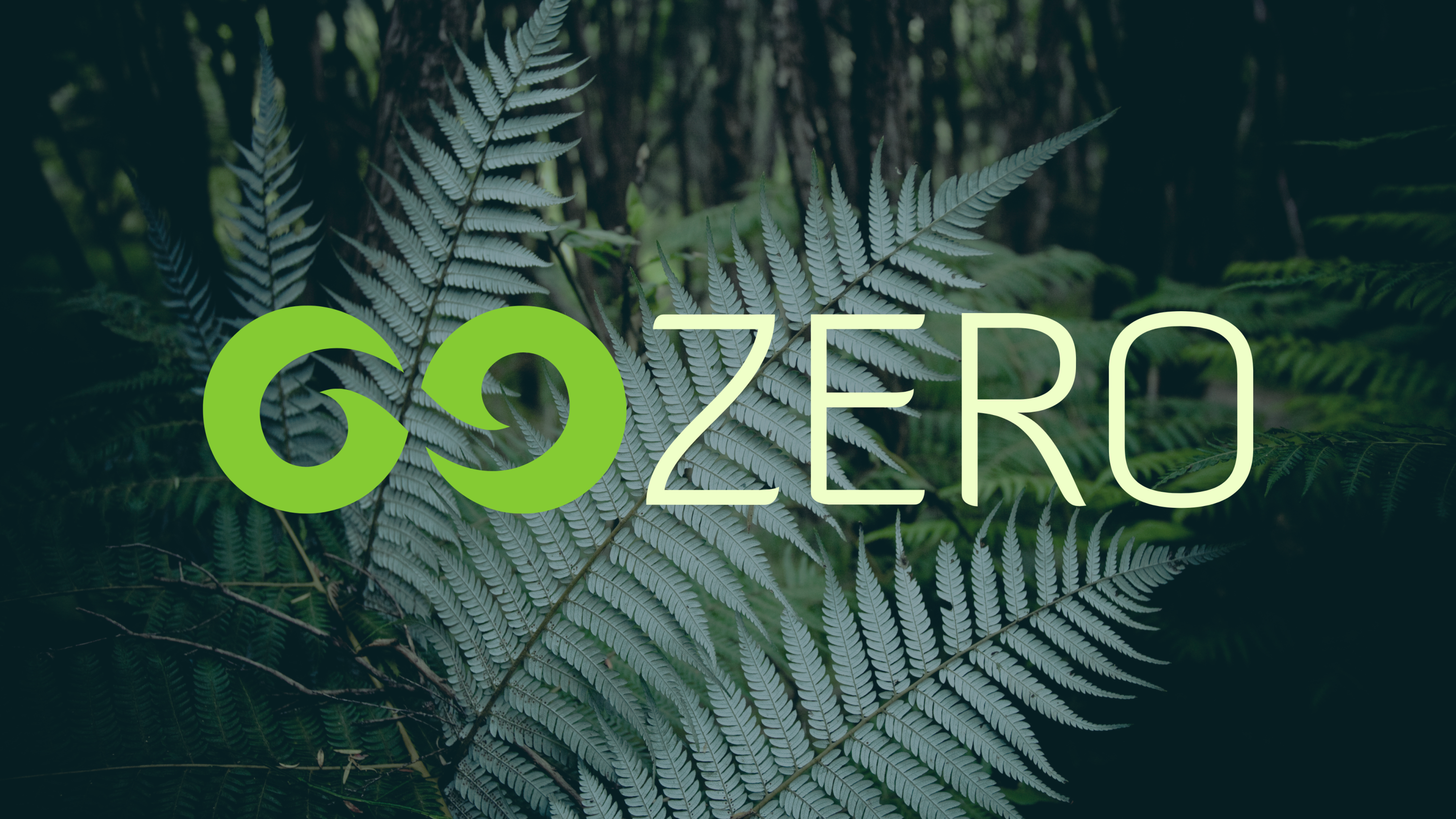 GoZero top up product