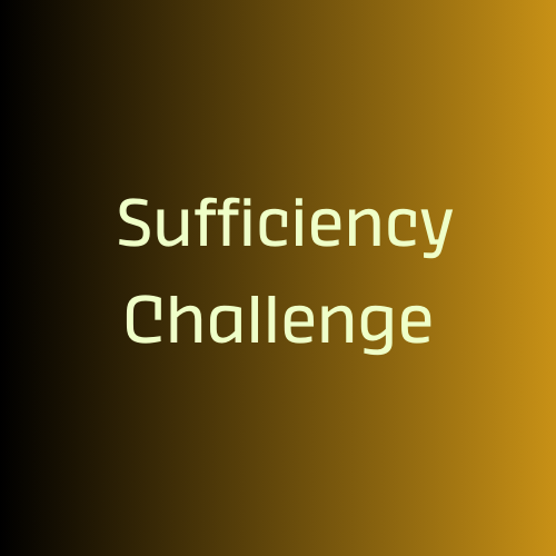 Sufficiency Challenge