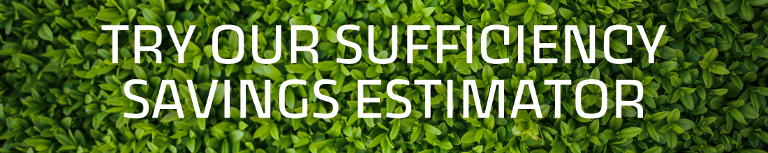 Sufficiency Savings Estimator