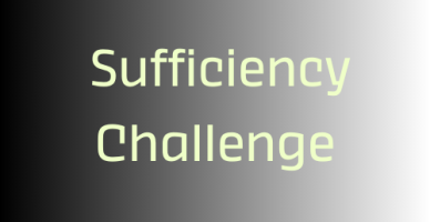 Sufficiency Challenge