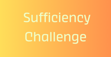 Sufficiency Challenge